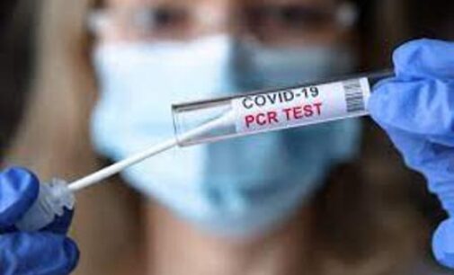 Covid sub-variant JN.1: 511 cases detected in country