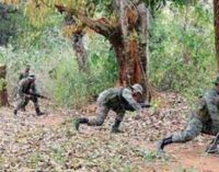 At least 30 Maoists, one security personnel killed in separate encounters in Chhattisgarh