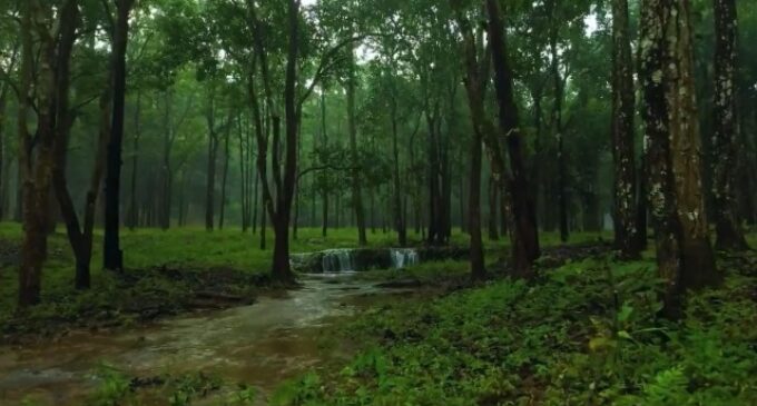 President Droupadi Murmu to spend a whole day in Odisha’s Similipal Tiger Reserve