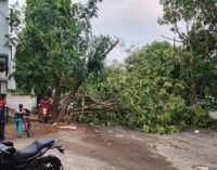 Nor’wester Unleashes Havoc in Malkangiri: A Catastrophic 10 Minutes Leaves Destruction and Two Missing