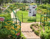 Vedanta Aluminium Jharsuguda establishes Butterfly Park to protect 30+ rare species