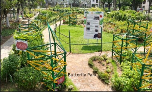 Vedanta Aluminium Jharsuguda establishes Butterfly Park to protect 30+ rare species