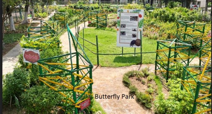 Vedanta Aluminium Jharsuguda establishes Butterfly Park to protect 30+ rare species