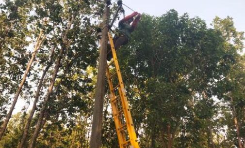 TPSODL takes special measures to ensure power supply during severe heatwave