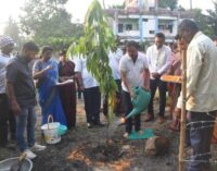 World Environment Day observed at PPA