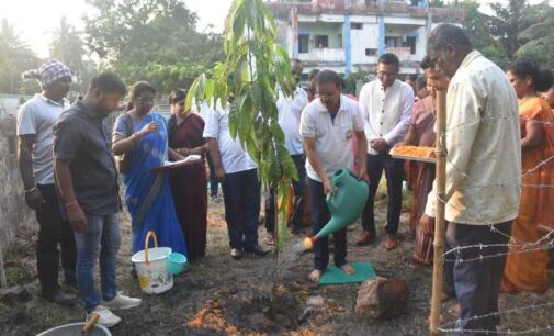 World Environment Day observed at PPA