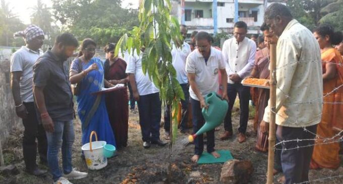 World Environment Day observed at PPA