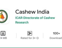 Cashew India App: An App Can Revolutionize Cashew Production in India