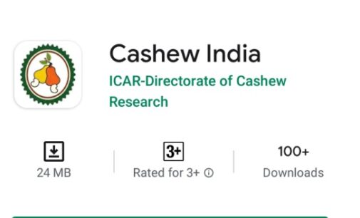 Cashew India App: An App Can Revolutionize Cashew Production in India