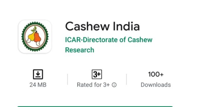 Cashew India App: An App Can Revolutionize Cashew Production in India