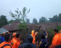 Search operation resumes at landslide site in Maharashtra; 119 villagers yet to be traced