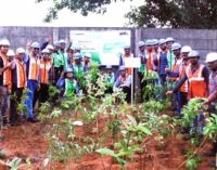 Vedanta Aluminium commences Miyawaki plantation at mines, bolsters efforts towards nature conservation