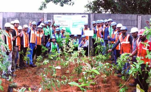 Vedanta Aluminium commences Miyawaki plantation at mines, bolsters efforts towards nature conservation