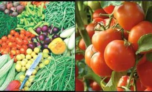 Heavy rains further push up retail tomato prices up to Rs 200/kg; other veggies also get costlier