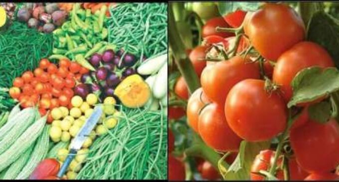 Heavy rains further push up retail tomato prices up to Rs 200/kg; other veggies also get costlier