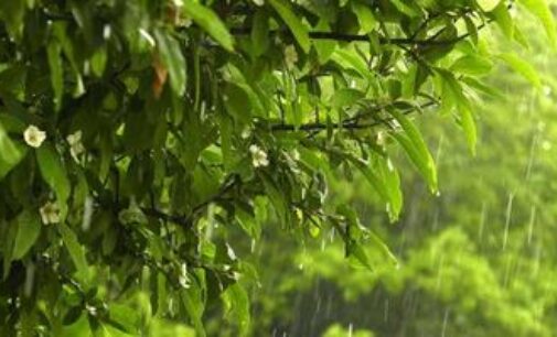 ପ୍ରବଳ ବର୍ଷା ପାଇଁ ୪ ଜିଲ୍ଲାକୁ ୟେଲୋ ଓ୍ବାର୍ଣ୍ଣିଂ ଜାରି