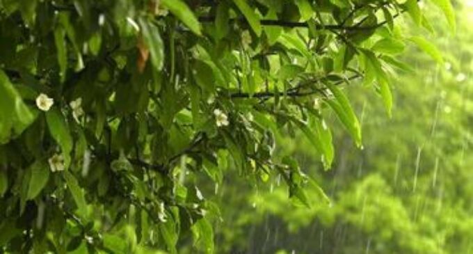 ପ୍ରବଳ ବର୍ଷା ପାଇଁ ୪ ଜିଲ୍ଲାକୁ ୟେଲୋ ଓ୍ବାର୍ଣ୍ଣିଂ ଜାରି