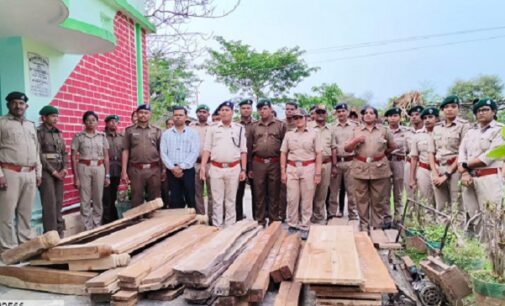 Timber Seizure by Balimela Forest Department in Malkangiri