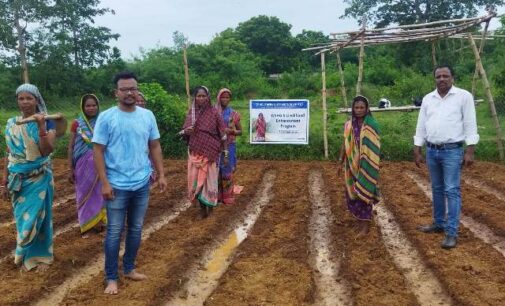 TPSODL empowers 1000 WSHGs through sustainable livelihood initiatives