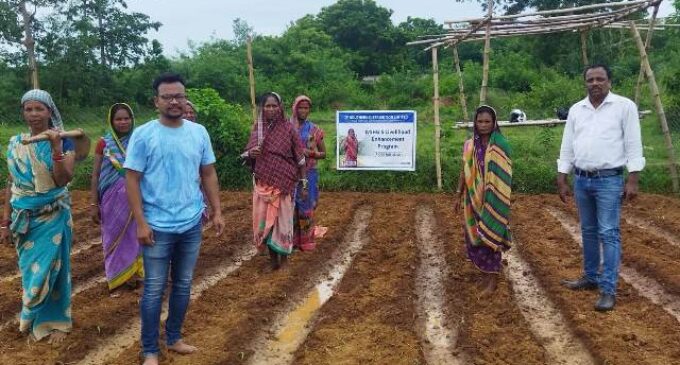 TPSODL empowers 1000 WSHGs through sustainable livelihood initiatives