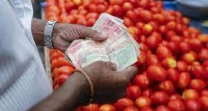 Government reduces tomato prices, to sell at Rs 50 per kg from August 15