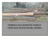 Bolangir:  DFO leads battle against timber mafia, huge quantity of sal logs, sized-timber seized