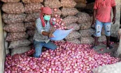 Centre slaps 40 per cent export duty on onions to contain price rise