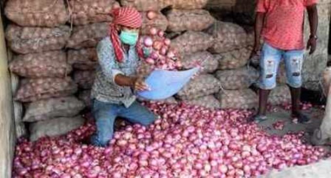 Centre slaps 40 per cent export duty on onions to contain price rise