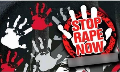 MP: Two minor girls gang-raped in Rewa; police arrest 5, register case after video of incident surfaces