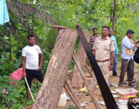 Balangir: Sal logs seized from Hartal village after raids conducted under DFO’s supervision