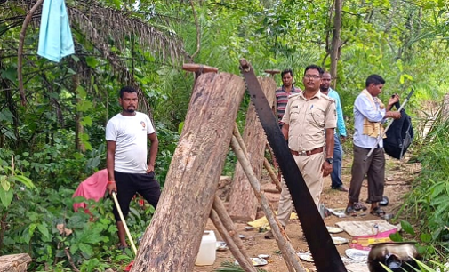 Balangir: Sal logs seized from Hartal village after raids conducted under DFO’s supervision