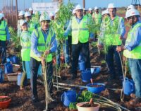 Adani Dhamra Port observes World Environmental Health Day