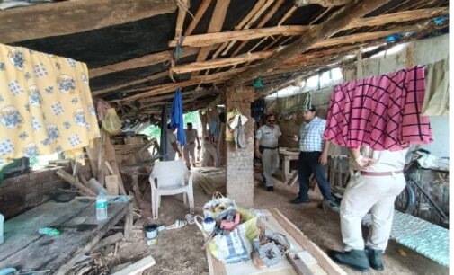 Bolangir: Raids conducted on furniture firm; huge illegal stockpiles of timber seized