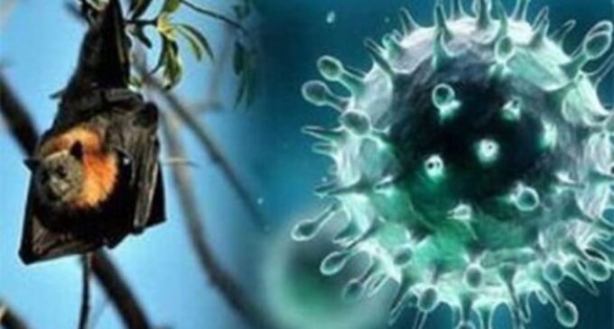 Nipah virus: Kerala shuts schools, Australian antibodies sought