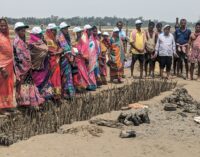 Championing Nature-Based Solutions for Disaster Mitigation, Reliance Foundation support establishment of community led mangrove nursery in Balasore