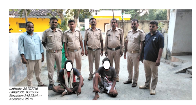 Bolangir: Patnagarh range officials seize sal logs, 2 arrested