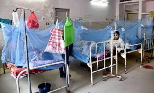 Bihar: 6,146 dengue cases reported in September, highest in last five years