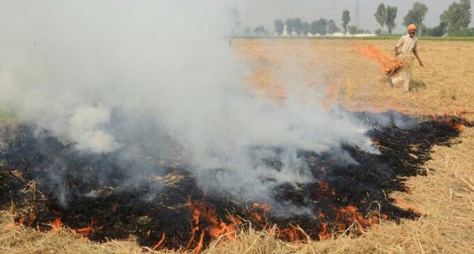 ‘Stop stubble burning’: Supreme Court orders Delhi, 3 states to meet tomorrow