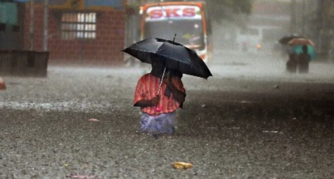 Tamil Nadu: Nellai, Tenkasi face heavy rainfall, flooding