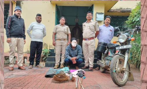 Balangir forest officials arrest Jharkhand animal poacher