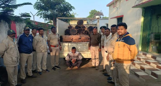 Success for Bolangir forest official: Timber mafia arrested