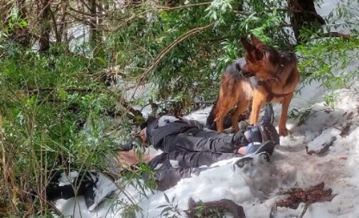 Pet dog guards bodies of 2 trekkers who died in Himachal. Heartbreaking story
