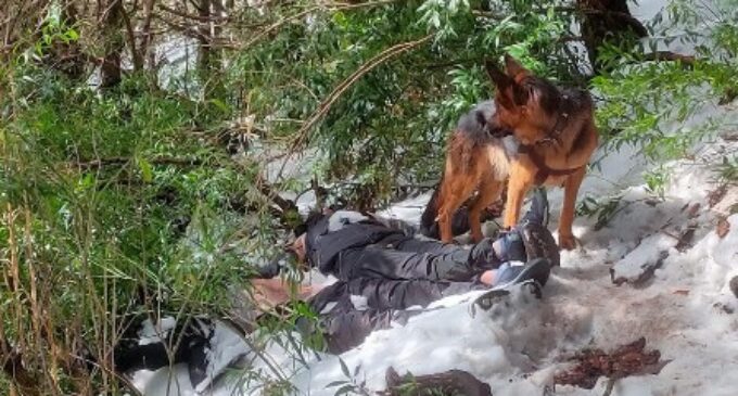 Pet dog guards bodies of 2 trekkers who died in Himachal. Heartbreaking story