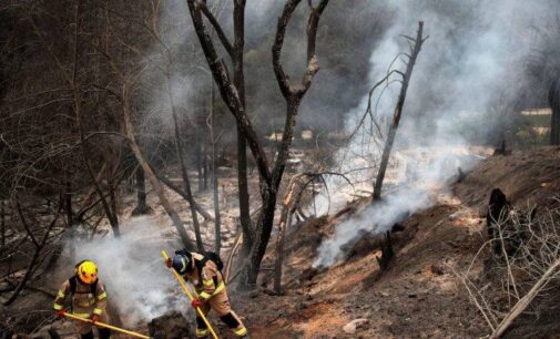 Forest fires rage on in central Chile killing at least 112 people over three days