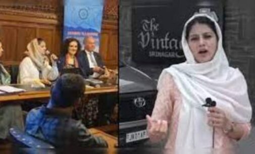 ‘I am not Malala, I am safe in my country’: Kashmiri activist’s UK speech goes viral