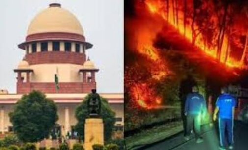 SC pitches for preventive steps, says cloud seeding, depending on rain god no solution for forest fires