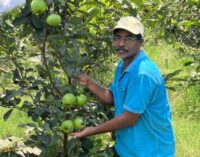 From Barren to Bountiful: Farmer Bharat Reddy’s Journey to Success with TSF’s Support