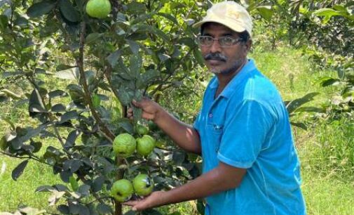 From Barren to Bountiful: Farmer Bharat Reddy’s Journey to Success with TSF’s Support