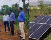 UAIL’s ‘Project Wadi’ helping farmers earn double income at Rayagada