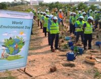 Adani Dhamra Port observes World Environment Day